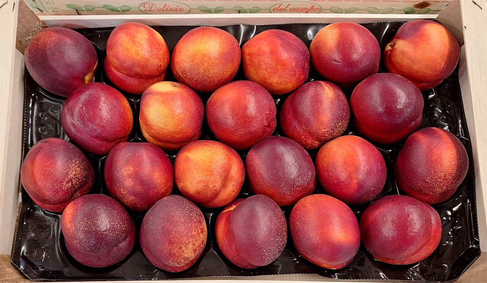 Nettarine - Emilia-Romagna - 2,70/2,80 euro al chilogrammo